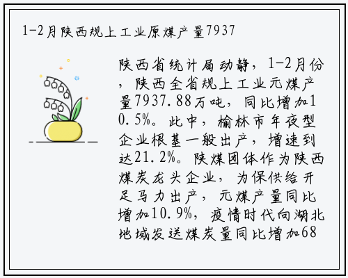 1-2月陕西规上工业原煤产量7937.88万吨 同比增长10.5%_leyu网页登录入口